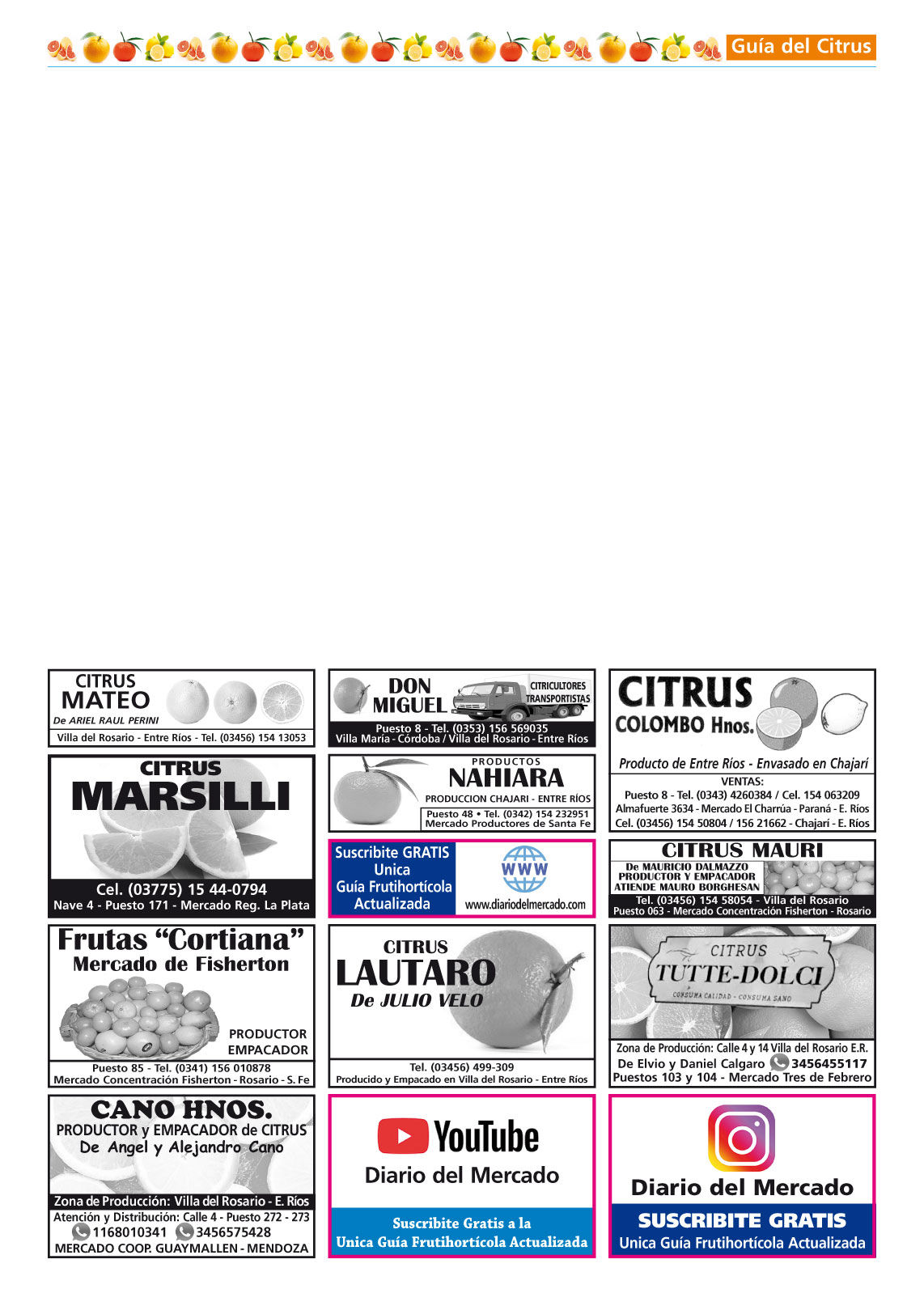 Diario del Mercado Digital