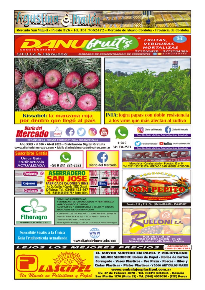 Diario Digital