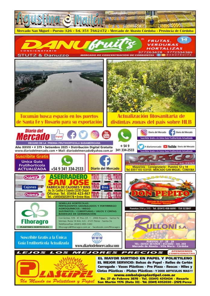 Diario Digital